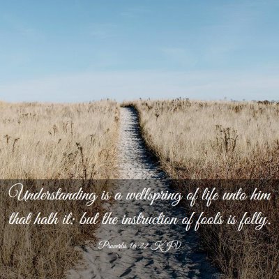 Picture 03 - Proverbs 16:22 KJV - Understanding is a wellspring of life unto him - Bible Verse Picture