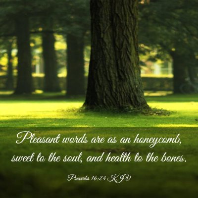 Picture 03 - Proverbs 16:24 KJV - Pleasant words are as an honeycomb, sweet to the - Bible Verse Picture