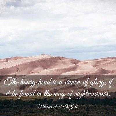 Picture 03 - Proverbs 16:31 KJV - The hoary head is a crown of glory, if it be - Bible Verse Picture