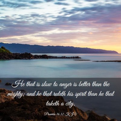 Picture 03 - Proverbs 16:32 KJV - He that is slow to anger is better than the - Bible Verse Picture
