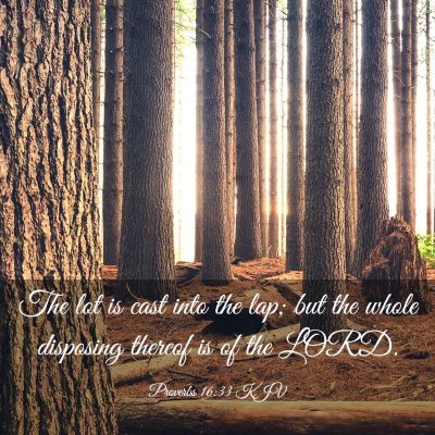 Picture 03 - Proverbs 16:33 KJV - The lot is cast into the lap; but the whole - Bible Verse Picture