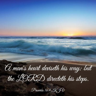 Picture 03 - Proverbs 16:9 KJV - A man's heart deviseth his way: but the LORD - Bible Verse Picture