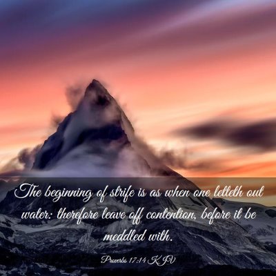 Picture 03 - Proverbs 17:14 KJV - The beginning of strife is as when one letteth - Bible Verse Picture