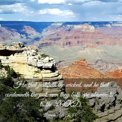 Picture 03 - Proverbs 17:15 KJV - He that justifieth the wicked, and he that - Bible Verse Picture