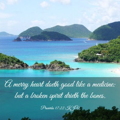 Picture 03 - Proverbs 17:22 KJV - A merry heart doeth good like a medicine: but a - Bible Verse Picture