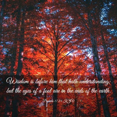 Picture 03 - Proverbs 17:24 KJV - Wisdom is before him that hath understanding; but - Bible Verse Picture
