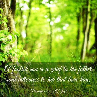 Picture 03 - Proverbs 17:25 KJV - A foolish son is a grief to his father, and - Bible Verse Picture