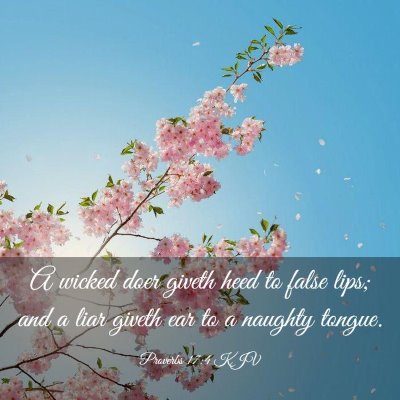 Picture 03 - Proverbs 17:4 KJV - A wicked doer giveth heed to false lips; and a - Bible Verse Picture