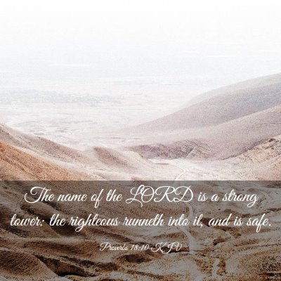 Picture 03 - Proverbs 18:10 KJV - The name of the LORD is a strong tower: the - Bible Verse Picture