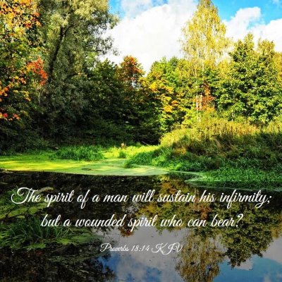 Picture 03 - Proverbs 18:14 KJV - The spirit of a man will sustain his infirmity; - Bible Verse Picture