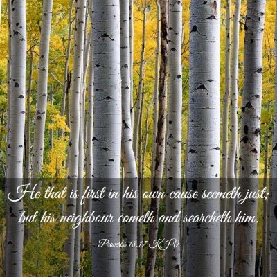 Picture 03 - Proverbs 18:17 KJV - He that is first in his own cause seemeth just; - Bible Verse Picture