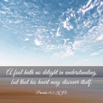 Picture 03 - Proverbs 18:2 KJV - A fool hath no delight in understanding, but that - Bible Verse Picture
