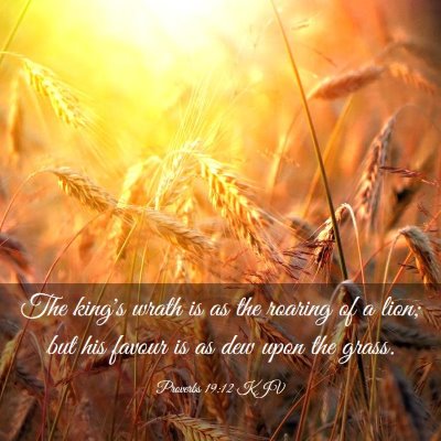 Picture 03 - Proverbs 19:12 KJV - The king's wrath is as the roaring of a lion; but - Bible Verse Picture