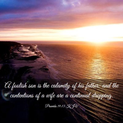 Picture 03 - Proverbs 19:13 KJV - A foolish son is the calamity of his father: and - Bible Verse Picture