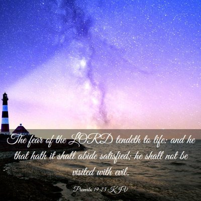 Picture 03 - Proverbs 19:23 KJV - The fear of the LORD tendeth to life: and he that - Bible Verse Picture