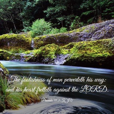 Picture 03 - Proverbs 19:3 KJV - The foolishness of man perverteth his way: and - Bible Verse Picture