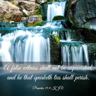 Picture 03 - Proverbs 19:9 KJV - A false witness shall not be unpunished, and he - Bible Verse Picture