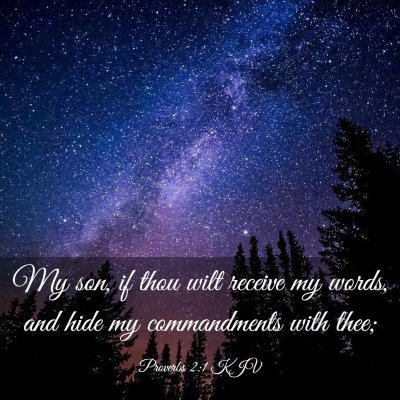 Picture 03 - Proverbs 2:1 KJV - My son, if thou wilt receive my words, and hide - Bible Verse Picture