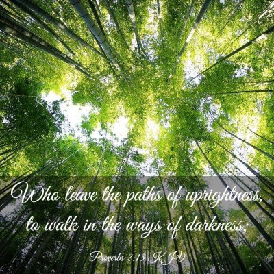 Picture 03 - Proverbs 2:13 KJV - Who leave the paths of uprightness, to walk in - Bible Verse Picture