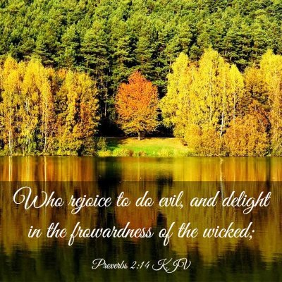 Picture 03 - Proverbs 2:14 KJV - Who rejoice to do evil, and delight in the - Bible Verse Picture