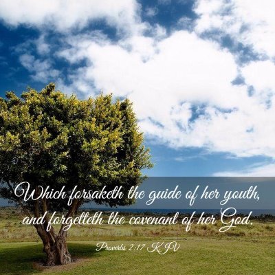 Picture 03 - Proverbs 2:17 KJV - Which forsaketh the guide of her youth, and - Bible Verse Picture
