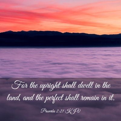 Picture 03 - Proverbs 2:21 KJV - For the upright shall dwell in the land, and the - Bible Verse Picture