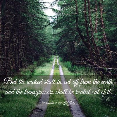 Picture 03 - Proverbs 2:22 KJV - But the wicked shall be cut off from the earth, - Bible Verse Picture