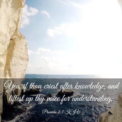 Picture 03 - Proverbs 2:3 KJV - Yea, if thou criest after knowledge, and liftest - Bible Verse Picture