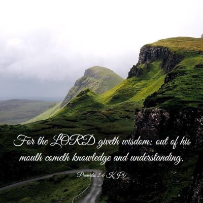 Picture 03 - Proverbs 2:6 KJV - For the LORD giveth wisdom: out of his mouth - Bible Verse Picture