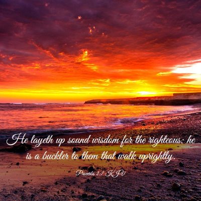 Picture 03 - Proverbs 2:7 KJV - He layeth up sound wisdom for the righteous: he - Bible Verse Picture