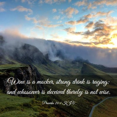 Picture 03 - Proverbs 20:1 KJV - Wine is a mocker, strong drink is raging: and - Bible Verse Picture