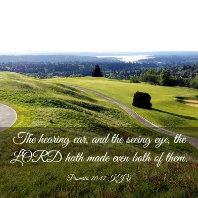 Picture 03 - Proverbs 20:12 KJV - The hearing ear, and the seeing eye, the LORD - Bible Verse Picture