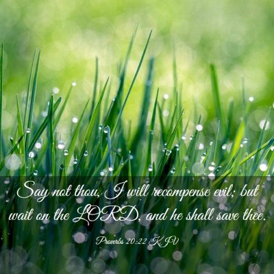 Picture 03 - Proverbs 20:22 KJV - Say not thou, I will recompense evil; but wait on - Bible Verse Picture