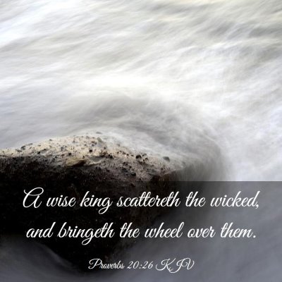 Picture 03 - Proverbs 20:26 KJV - A wise king scattereth the wicked, and bringeth - Bible Verse Picture