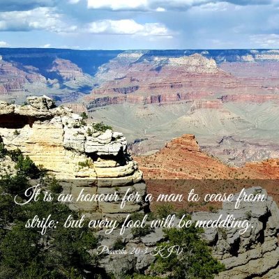 Picture 03 - Proverbs 20:3 KJV - It is an honour for a man to cease from strife: - Bible Verse Picture