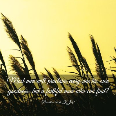 Picture 03 - Proverbs 20:6 KJV - Most men will proclaim every one his own - Bible Verse Picture