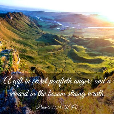 Picture 03 - Proverbs 21:14 KJV - A gift in secret pacifieth anger: and a reward in - Bible Verse Picture