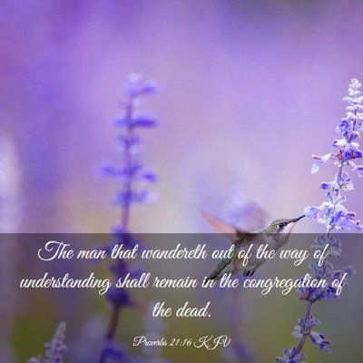 Picture 03 - Proverbs 21:16 KJV - The man that wandereth out of the way of - Bible Verse Picture