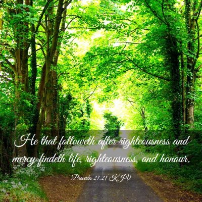 Picture 03 - Proverbs 21:21 KJV - He that followeth after righteousness and mercy - Bible Verse Picture