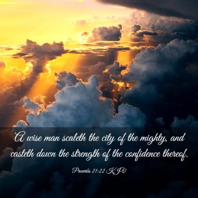 Picture 03 - Proverbs 21:22 KJV - A wise man scaleth the city of the mighty, and - Bible Verse Picture
