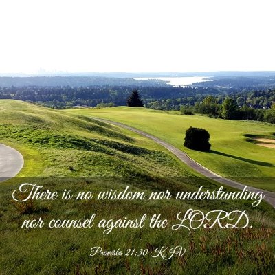 Picture 03 - Proverbs 21:30 KJV - There is no wisdom nor understanding nor counsel - Bible Verse Picture