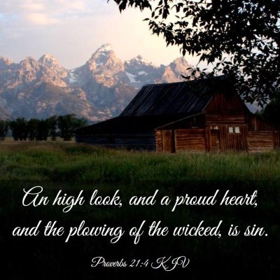 Picture 03 - Proverbs 21:4 KJV - An high look, and a proud heart, and the plowing - Bible Verse Picture