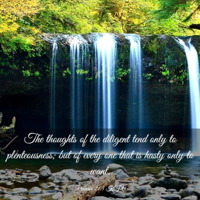 Picture 03 - Proverbs 21:5 KJV - The thoughts of the diligent tend only to - Bible Verse Picture