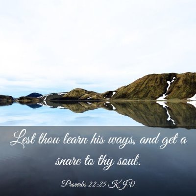 Picture 03 - Proverbs 22:25 KJV - Lest thou learn his ways, and get a snare to thy - Bible Verse Picture