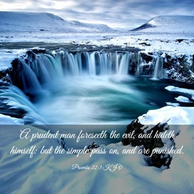 Picture 03 - Proverbs 22:3 KJV - A prudent man foreseeth the evil, and hideth - Bible Verse Picture
