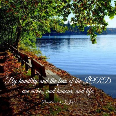 Picture 03 - Proverbs 22:4 KJV - By humility and the fear of the LORD are riches, - Bible Verse Picture