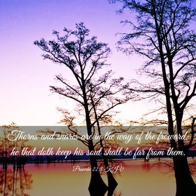 Picture 03 - Proverbs 22:5 KJV - Thorns and snares are in the way of the froward: - Bible Verse Picture