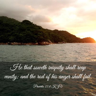Picture 03 - Proverbs 22:8 KJV - He that soweth iniquity shall reap vanity: and - Bible Verse Picture