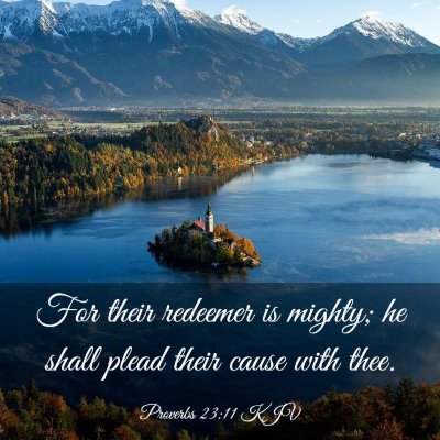 Picture 03 - Proverbs 23:11 KJV - For their redeemer is mighty; he shall plead - Bible Verse Picture