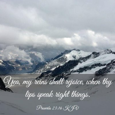 Picture 03 - Proverbs 23:16 KJV - Yea, my reins shall rejoice, when thy lips speak - Bible Verse Picture